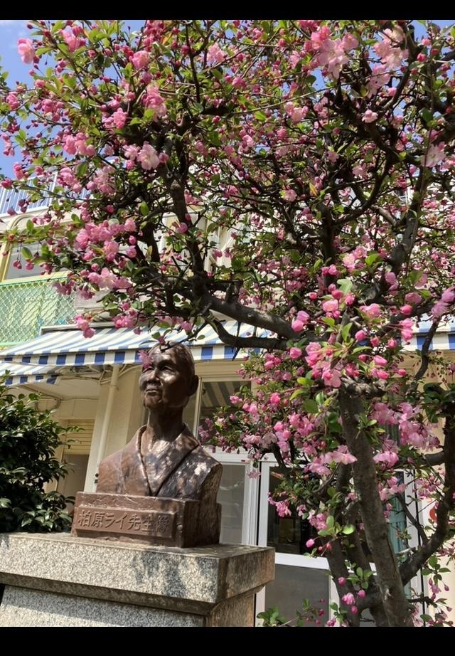 春ですね🌸