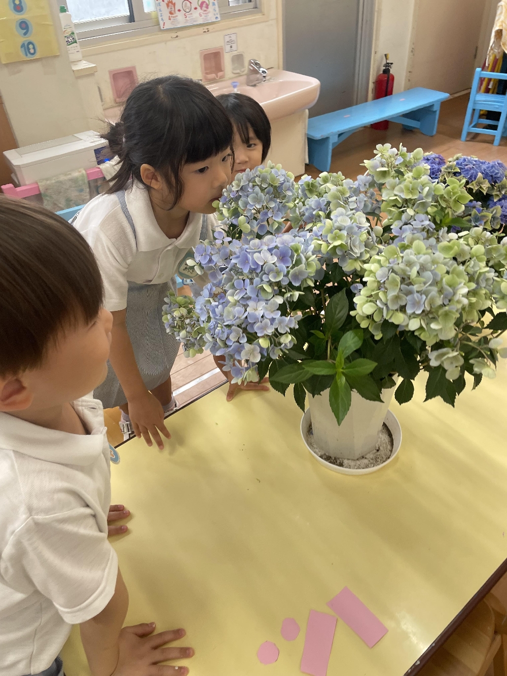 【年中組】あじさい活動　〜製作編〜